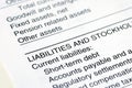 The Liability section in the company balance sheet Royalty Free Stock Photo