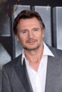 Liam Neeson Royalty Free Stock Photo