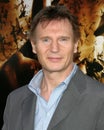 Liam Neeson Royalty Free Stock Photo