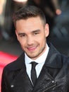 Liam Payne,One Direction