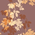 Liana floral pattern on the brown