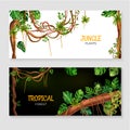 Liana Jungle Realistic Banners