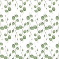 Liana spreads green leaves creeper seamless pattern background on white