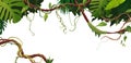 Liana or vine winding branches with tropic leaves background. Cartoon vector illustration. Jungle tropical climbing plants