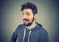 Liar man with long nose on gray background. Royalty Free Stock Photo