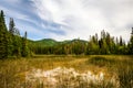 Liard Hot Springs area- British Columbia- Canada