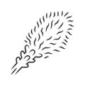 Liatris linear icon. Thin line illustration. Blazing star blooming flower. Dwarf gayfeather garden plant. Spicata kobold