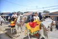 El Tope, the Costa Rican National Day of Horsesman in Liberia