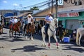 El Tope, the Costa Rican National Day of Horsesman in Liberia