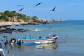 Fishermen unload a fish catch, Ecuador Royalty Free Stock Photo