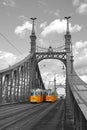 Liberty Bridge in Budapest, Hungary