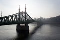 Liberty Bridge, Budapest Royalty Free Stock Photo