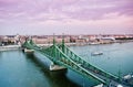 Liberty Bridge in Budapest Royalty Free Stock Photo