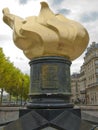 Liberty flame in Paris Royalty Free Stock Photo