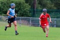 Liberty Insurance Camogie Intermediate Championship: Cork vs Dublin