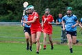 Liberty Insurance Camogie Intermediate Championship: Cork vs Dublin