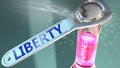Liberty open the way for happiness and brings joy - shown as a happy bottle opened by Liberty to symbolize the role, effect and