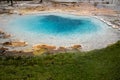 Liberty Spring, a hot spring geothermal pool in the Fountain Paint Pot trail area of Yellowstone National Park Royalty Free Stock Photo