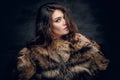 Brunette woman with long curly hair dressed in a fur coat. Royalty Free Stock Photo