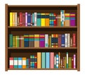 Library book shelf. Bookcase with different books. Royalty Free Stock Photo