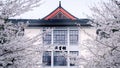 Library of Nanjing Forestry University with cherry blossoms