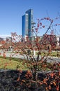 Library of trees, the new Milan park overlooking the Palazzo della Regione Lombardia, skyscraper. Lombardy, Italy. Bam. Royalty Free Stock Photo