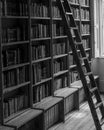 Library books ladder black and white version library