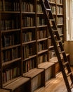 Library books ladder colour library ladder Royalty Free Stock Photo