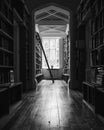 Library ladder books on shelf near window