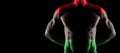 Libya flag on muscled male torso with abs Royalty Free Stock Photo