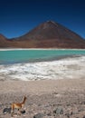 Licancabur volcano and green laguna Royalty Free Stock Photo