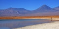 Licancabur volcano and lagoon in chile