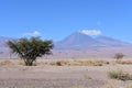 Licancabur Volcano at San Pedro de Atacam