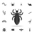 lice. Detailed set of insects items icons. Premium quality graphic design. One of the collection icons for websites, web design, m Royalty Free Stock Photo