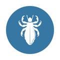 lice icon. Element of insect icons for mobile concept and web apps. Badge style lice icon can be used for web and mobile apps