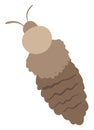 Lice, illustration, vector