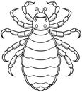 Lice insect line art for bug education and classroom coloring activity Royalty Free Stock Photo