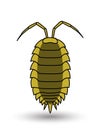Lice Insect Vector Art Royalty Free Stock Photo