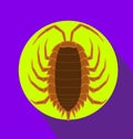 Lice Insect Vector Illustration Royalty Free Stock Photo