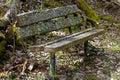 A lichen covered bench in the woods Royalty Free Stock Photo