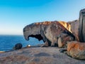 Lichen Covered Remarkable Rocks