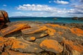 Lichen Covered rocks