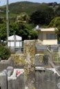 Lichen on cross at cemetery