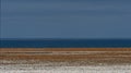 Lichen fields, Namibia