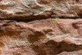 Lichen growing on the rocks in Red Rock Canyon National Conservation Area, Nevada, USA Royalty Free Stock Photo