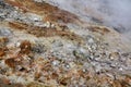 lichen on rock , image taken in Follonica, grosseto, tuscany, italy , larderello desert