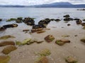 Lichen Rocks on the Beach Royalty Free Stock Photo