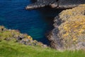 Lichen on the rocky coast