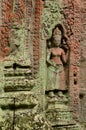 Lichen stained apsara at Ta Prohm, Angkor, Cambodia