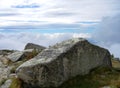 Lichen on stone and white clouds Royalty Free Stock Photo